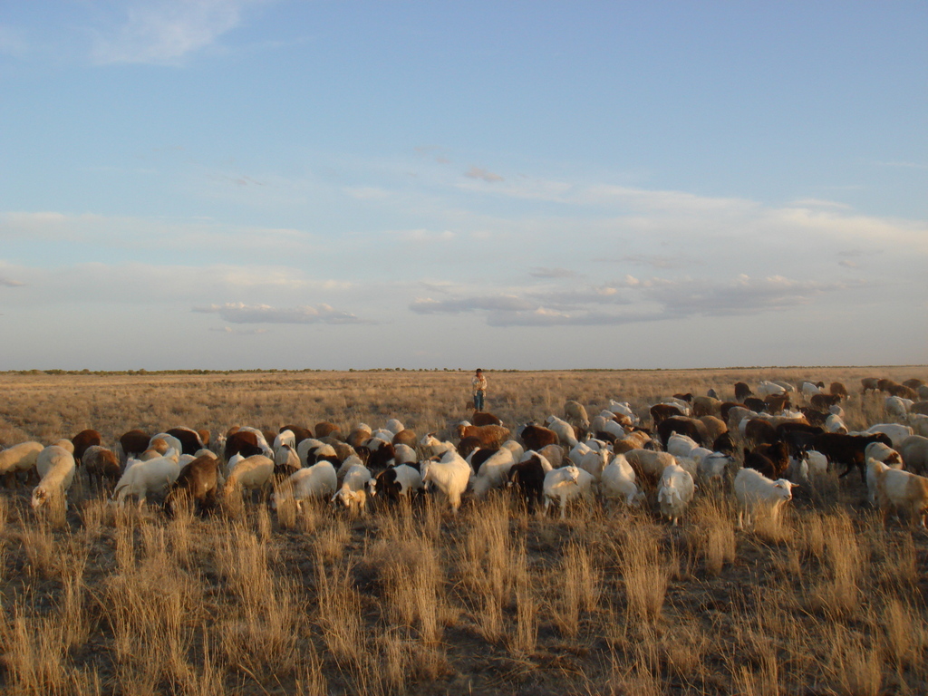 JUNE 17 - The World Day to Combat Desertification and Drought