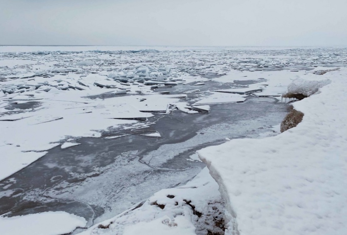 Изменение климата можно отследить по СМС