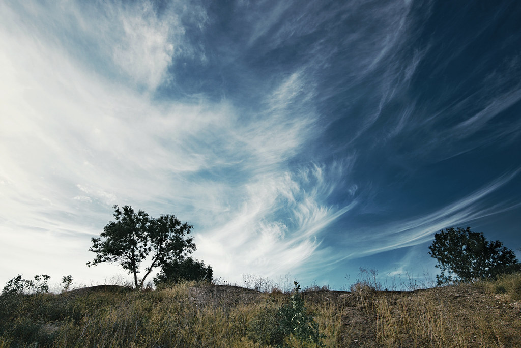 Развитие экосистемного подхода в принятии управленческих решений в Казахстане