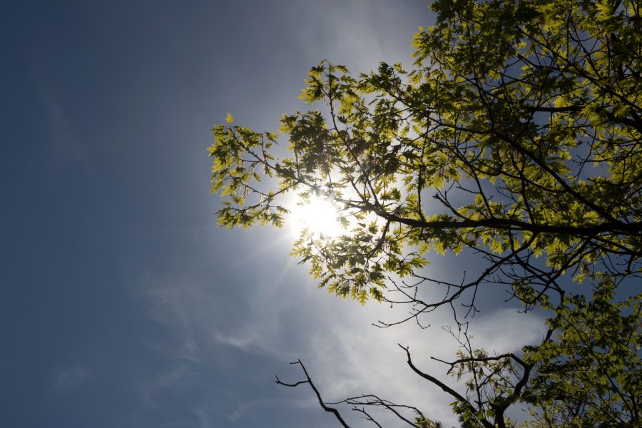 “Race to Zero” campaign