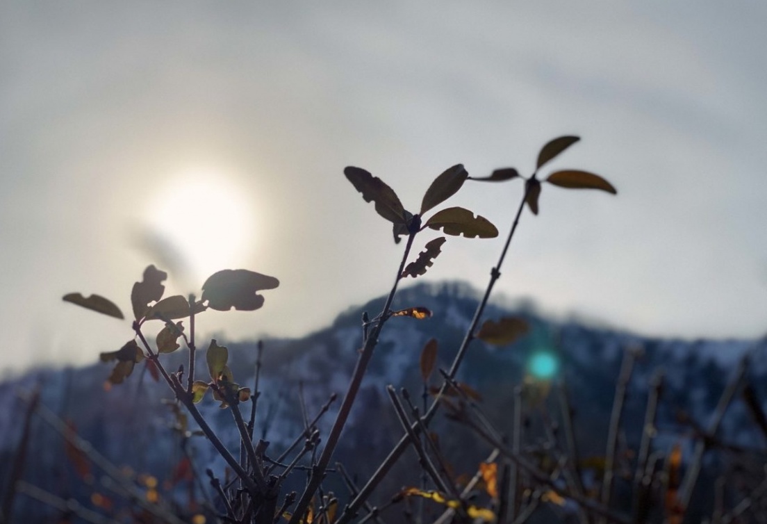 Долгосрочные прогнозы: что, где, когда?