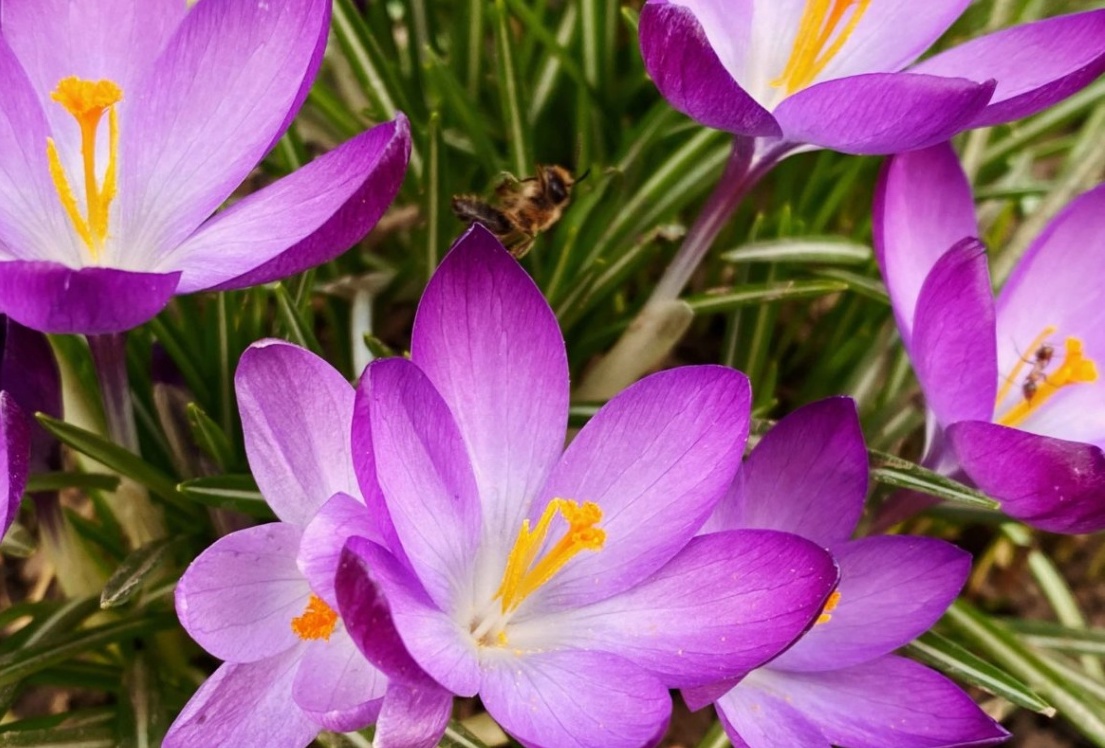 23 марта – Всемирный метеорологический день (День Метеоролога)