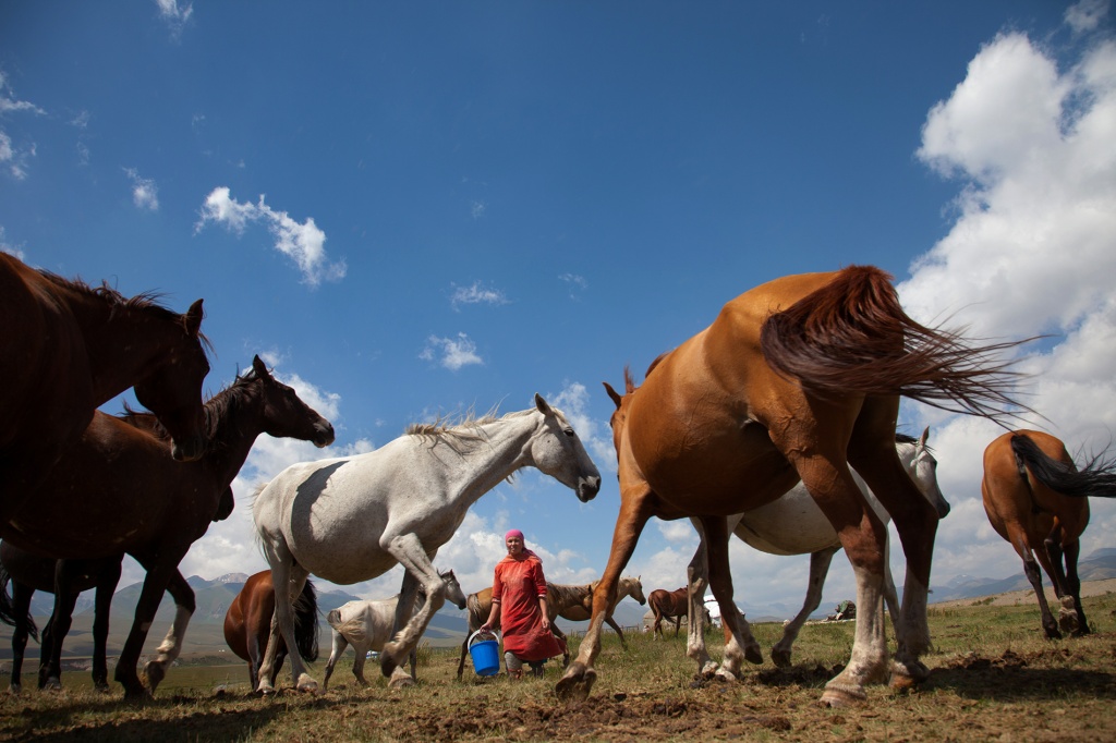 Алимжан Жоробаев_ 3 место.jpg