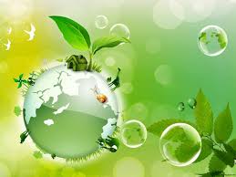 Без названия (1).jpg