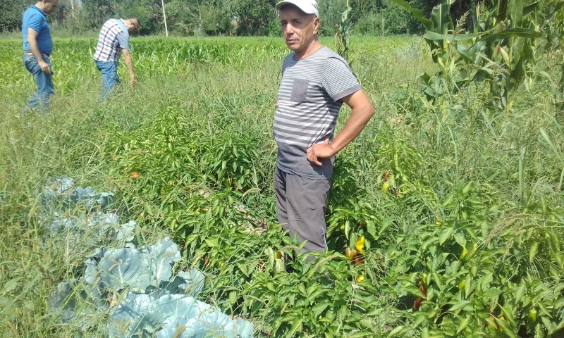 20170811_142042 (Small).jpg