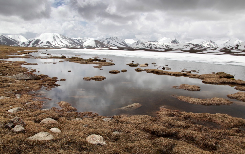 Эркин Болжуров_1 место.jpg